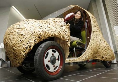 В Японии собрали бамбуковый электромобиль